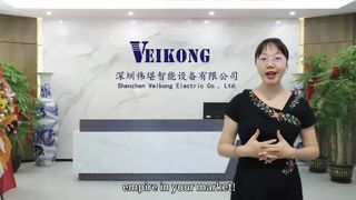 VEIKONG VFDの価格コストの由来を説明する